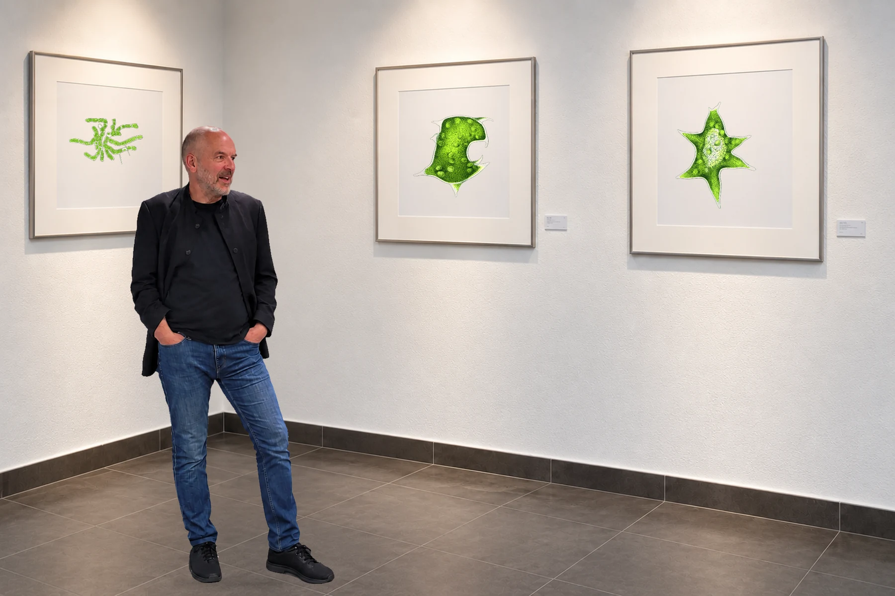Schöne Algen exhibition at PureRaw in Klötze, showing large-format algae artworks
